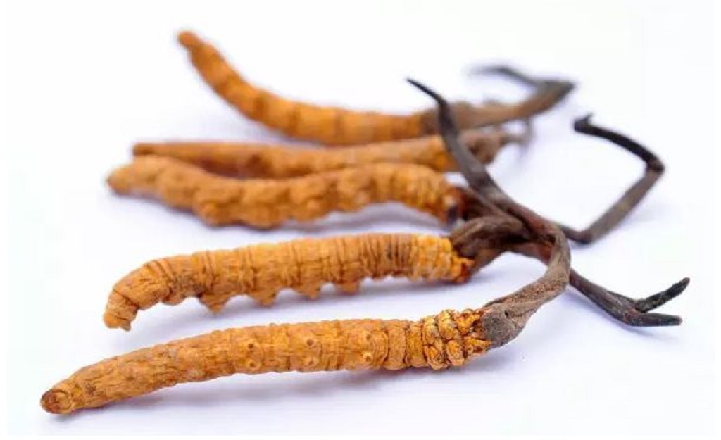 健康食品 | Health Food